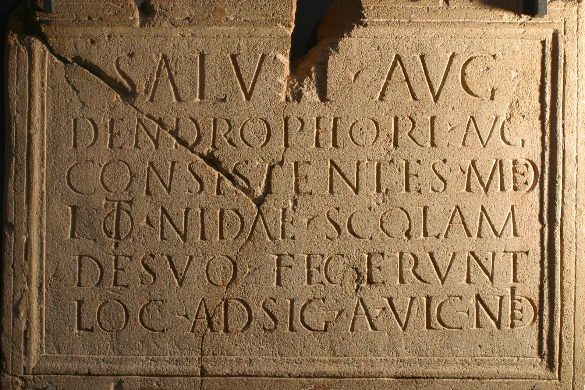 Die sogenannte Dendrophoreninschrift aus Nida
