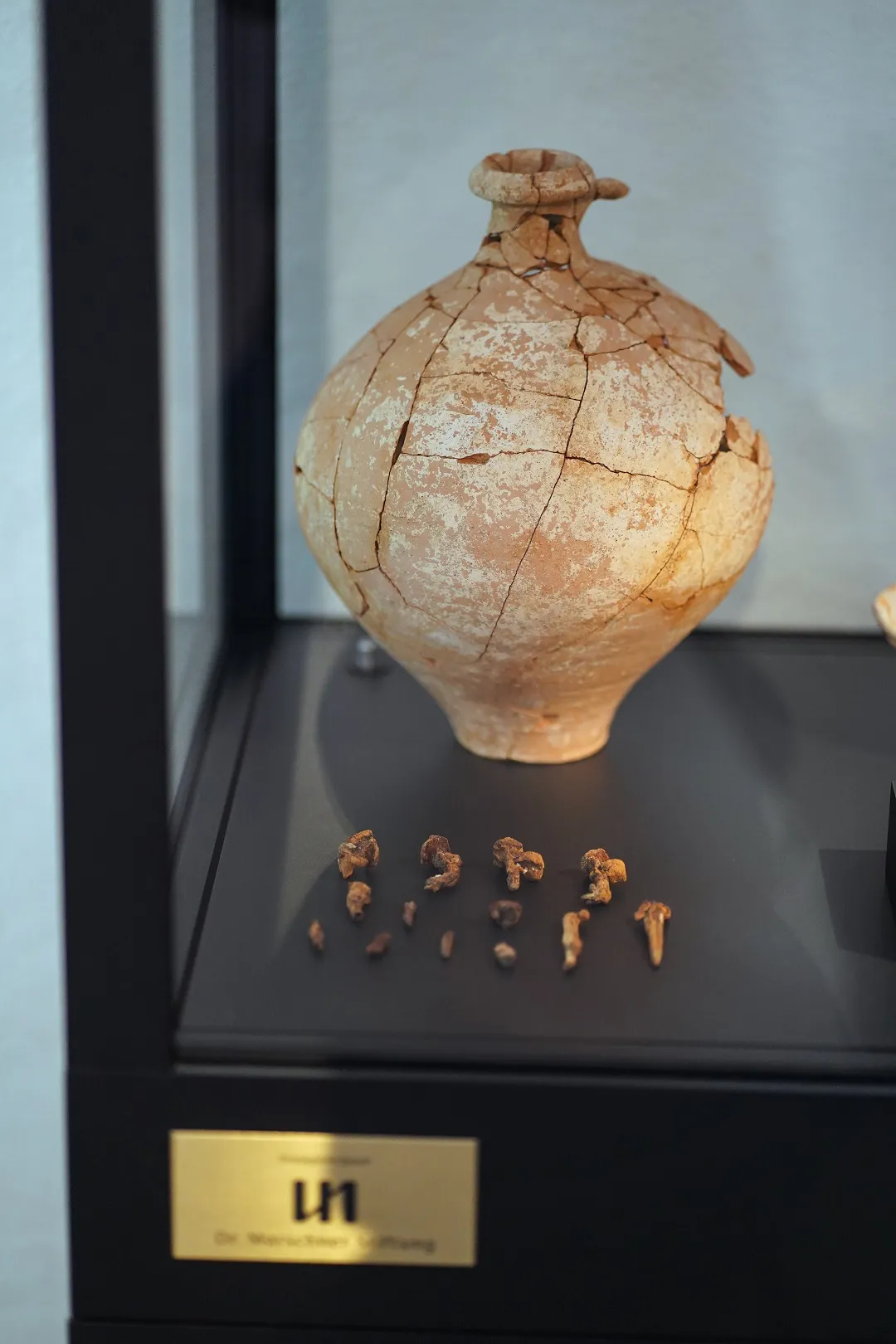 Vitrine der Frankfurter Silberinschrift