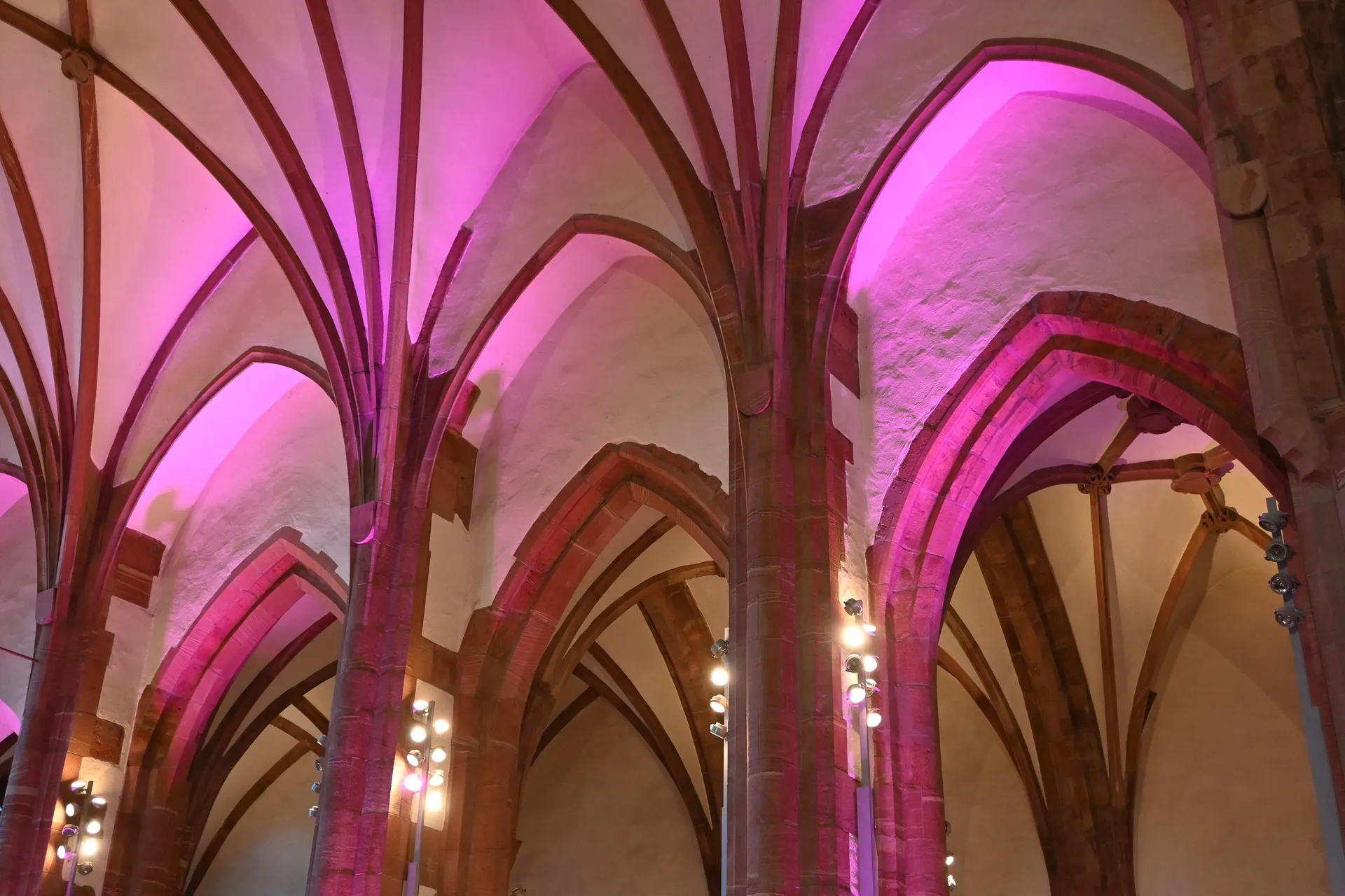 Nacht der Museen im AMF.